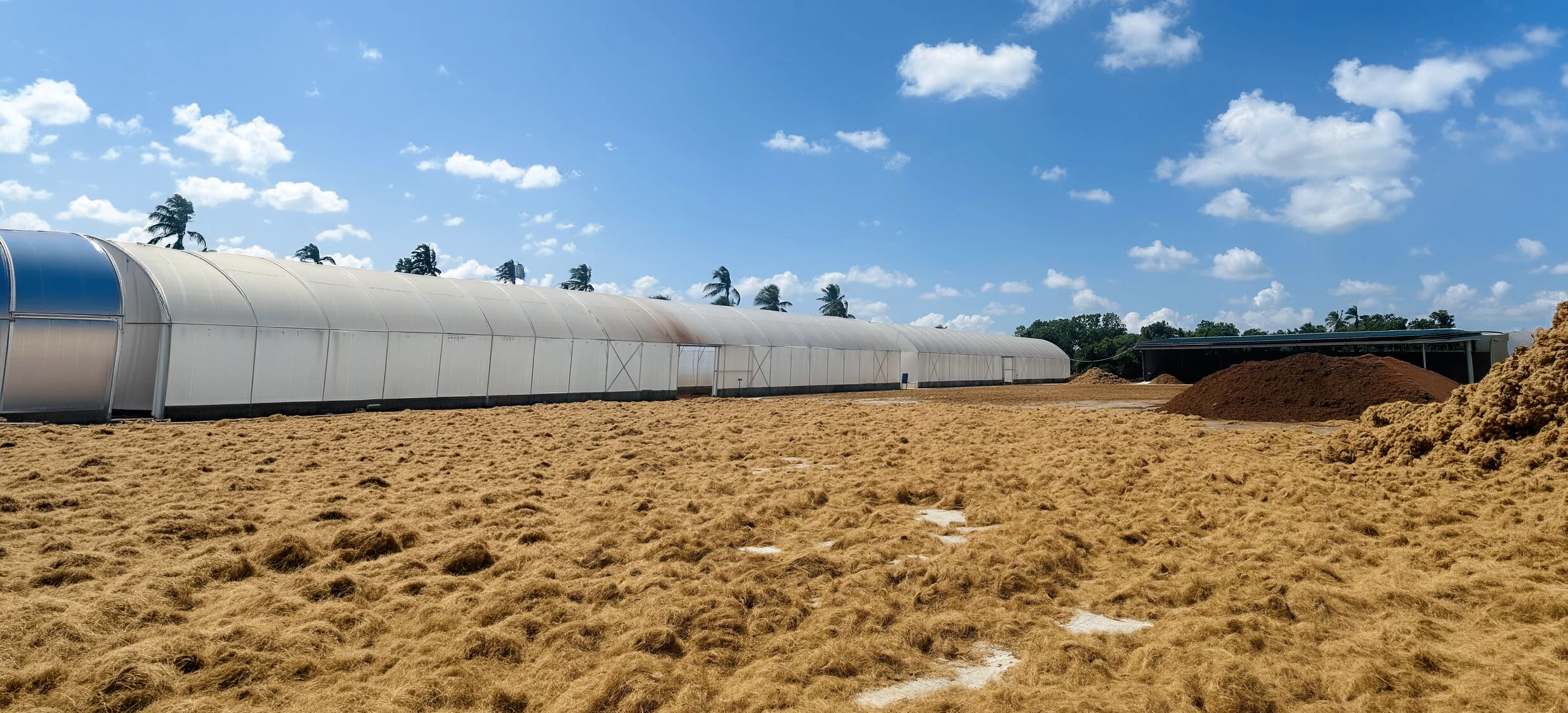 Euros Grower industrial facility for cocopeat processing