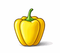 Bell pepper cultivation in cocopeat