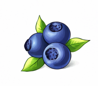 Blueberry cultivation in coir
