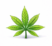Cannabis cultivation in premium coir
