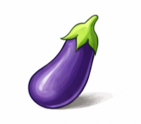 Eggplant growing in coco coir