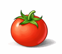 Premium cocopeat for tomato cultivation
